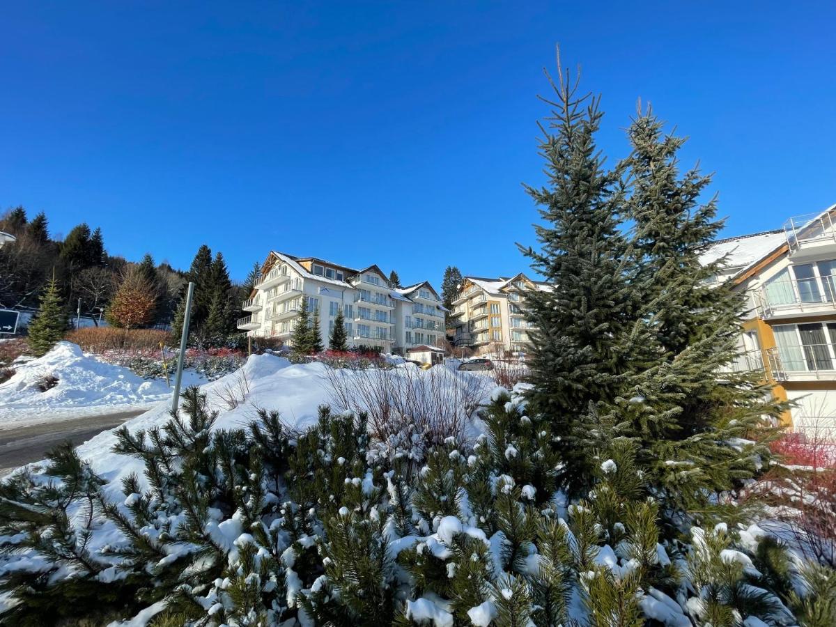 Sw Apartamenty Czarna Gora Siena Buitenkant foto