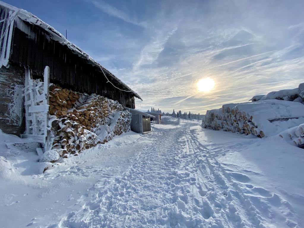 Sw Apartamenty Czarna Gora Siena Buitenkant foto